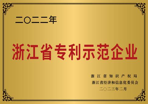 2022浙江省專(zhuān)利示范企業(yè)---DKEQ--was-awarded-the-Zhengjiang-Province-Patent-Demonstration-Enterprise